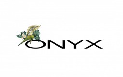 Onyx