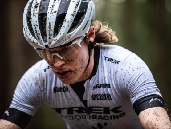 Anton nove mesto 2020